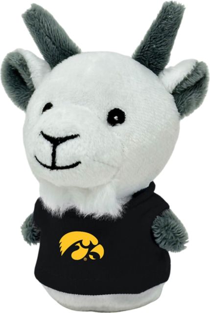 University of Iowa Hawkeyes Shorties