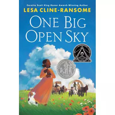 One Big Open Sky
