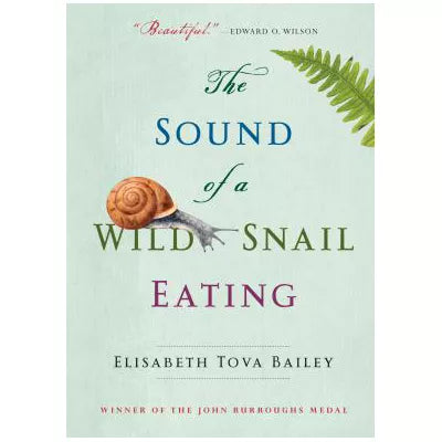 The Sound of a Wild Snail Eating